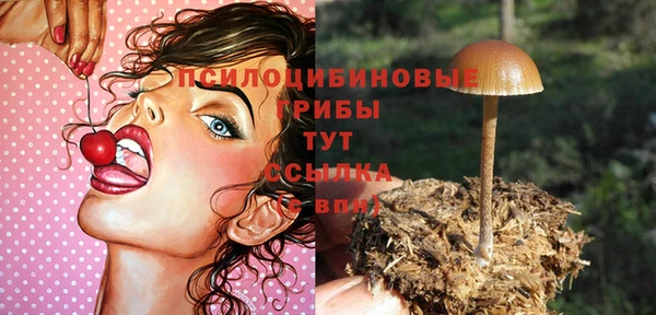 винт Беломорск